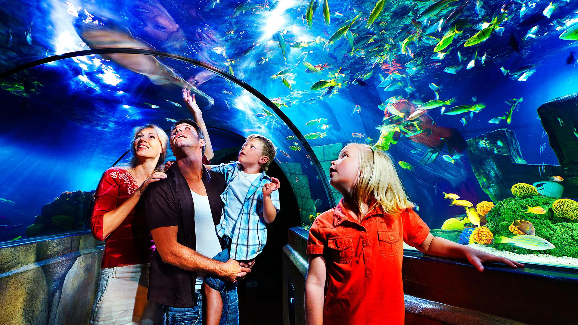 Indoor halls and themed worlds